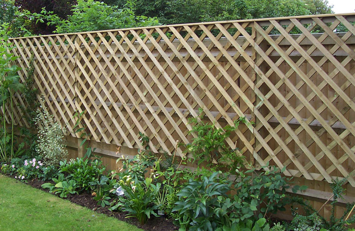 Trellis Fencing